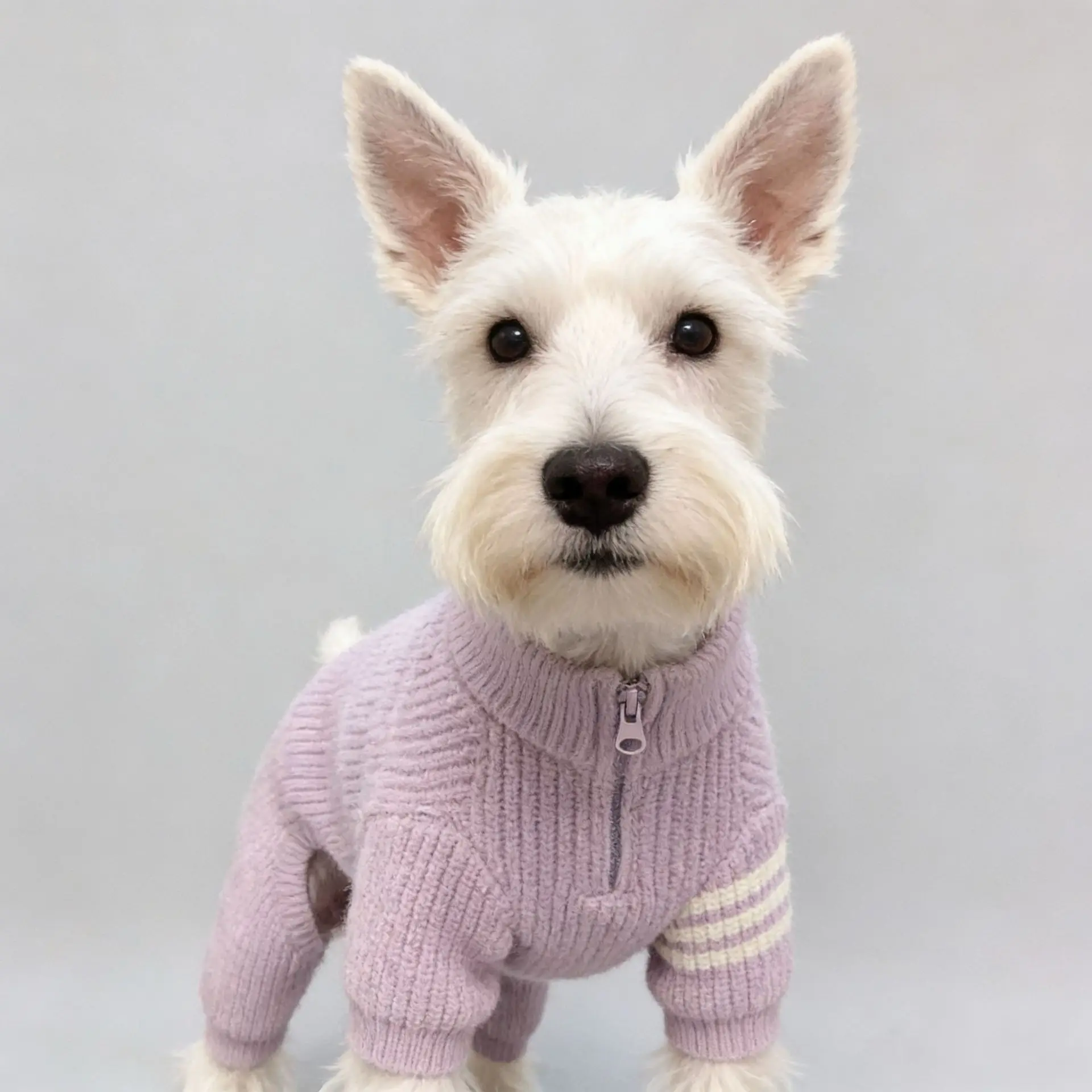Suéter tipo polo de invierno para perros mini, medianos o Bichón Frisé - imagen 4