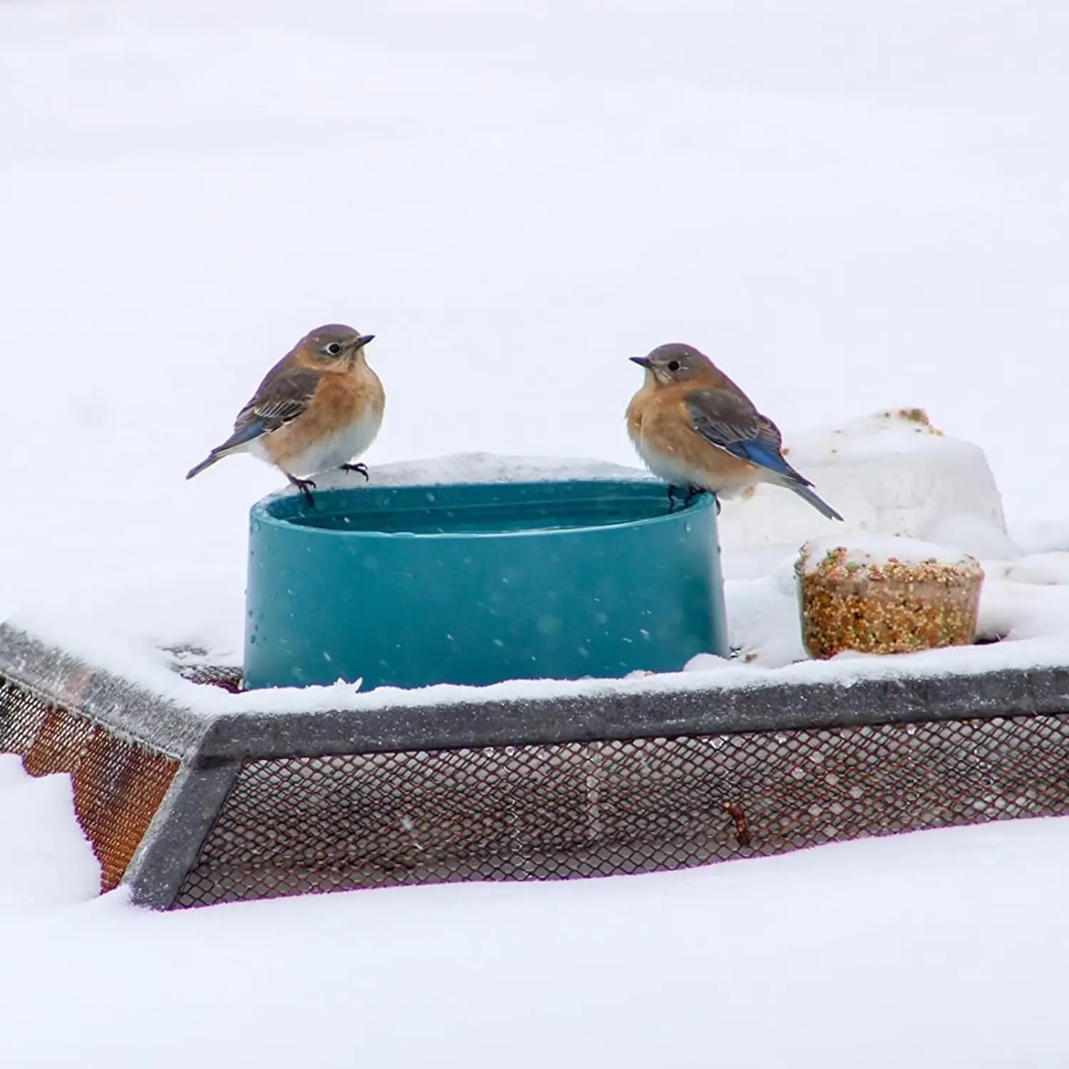 Cuenco térmico inteligente para mascotas, cuenco de agua caliente para exteriores, perros, gatos, pollos, ganado, 2,2 L, para día frío, baño de aves - imagen 4