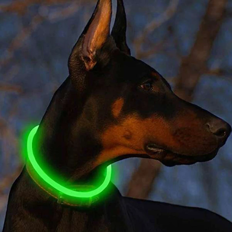 Collar Led Usb para perro, Accesorio luminoso de carga nocturna, seguridad nocturna, intermitente, prevención de pérdida - imagen 3