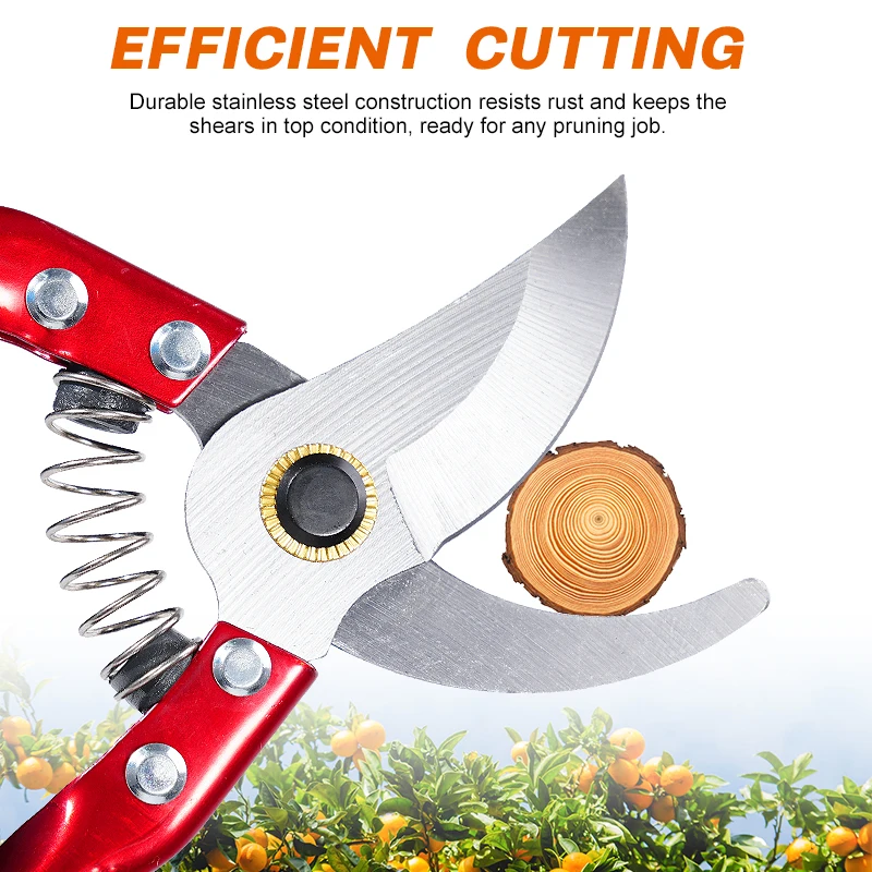 Herramienta de corte de injerto, tijeras para jardín con forma de anillo, cortador de injerto, pelador de árboles frutales, pelado de corteza, corte de acero inoxidable