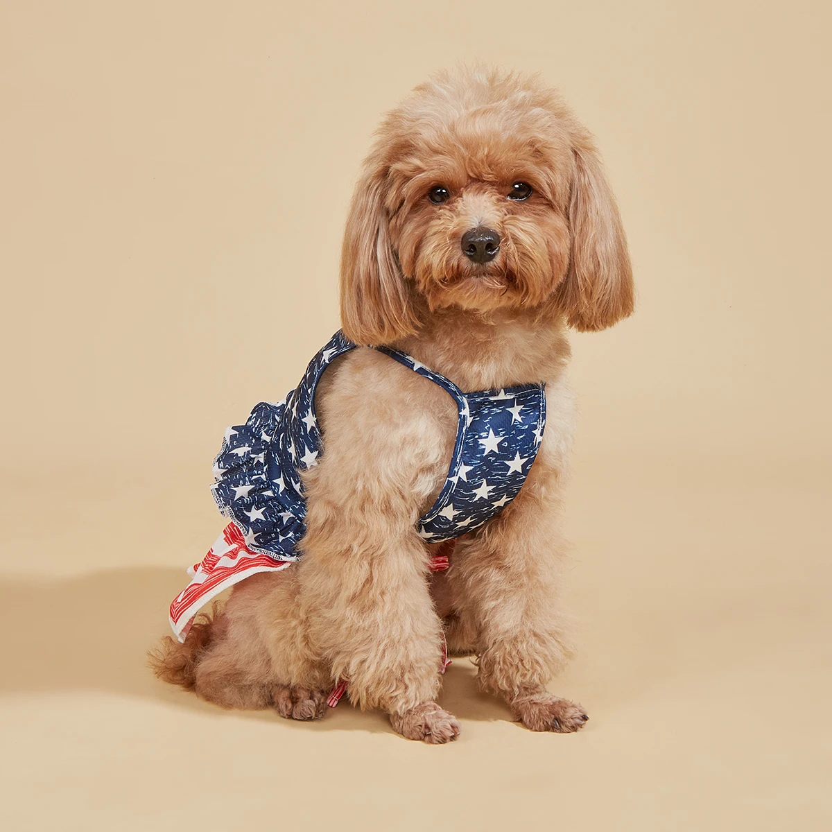 Patriotic Pet Outfit Set, American Flag Dog Dress & Collar, Sling Puppy Skirt, Festive Pet Clothing, Cute Doggie Summer Wear, - imagen 4