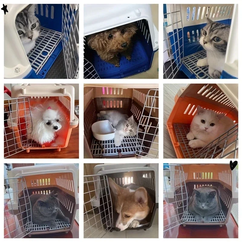 1 Uds. Equipaje para mascotas estuche portátil para aerolínea Material PP duradero resistente fácil instalación adecuado para gatos y perros pequeños