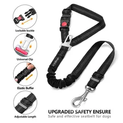 Cinturón seguridad coche para mascotas – Ajustable, elástico y reflectante
