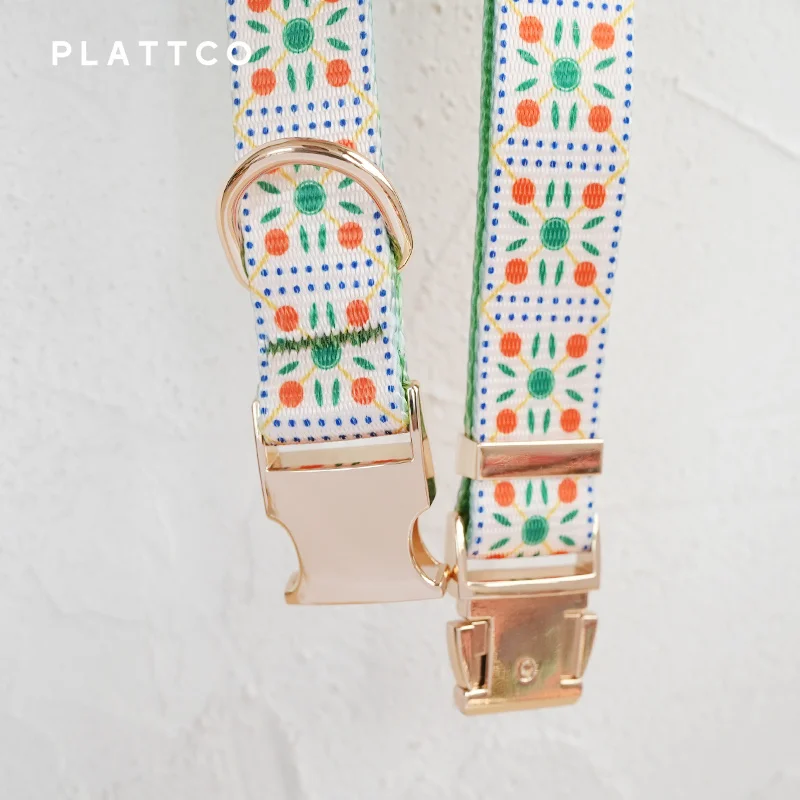 PLATTCO-collar de perro de diseño único, estampado de galletas de frutas, hebilla de aleación de zinc de color claro de alta calidad, 5 tamaños, PDC331G - imagen 3