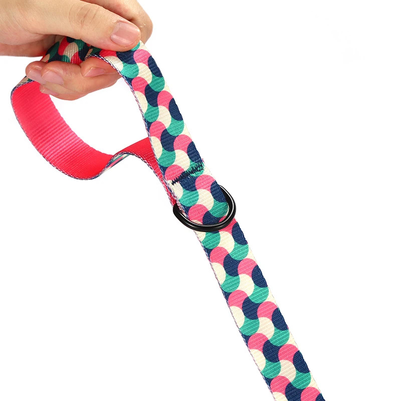 PLATTCO Cuerda para caminar para perros suave y cómoda de nailon de imitación nueva GUMMY WORMS 5 especificaciones 120cm PDL317 - imagen 4