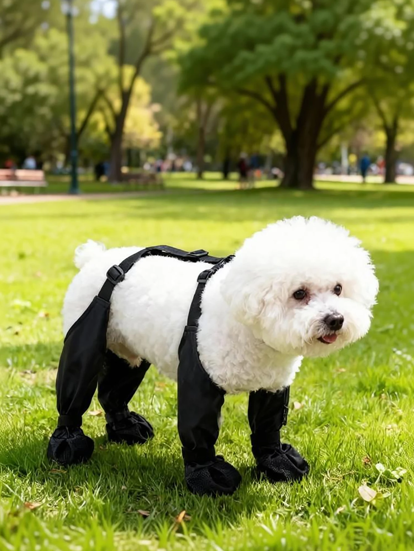 Botas impermeables con suela antideslizante para perros, lluvia y nieve