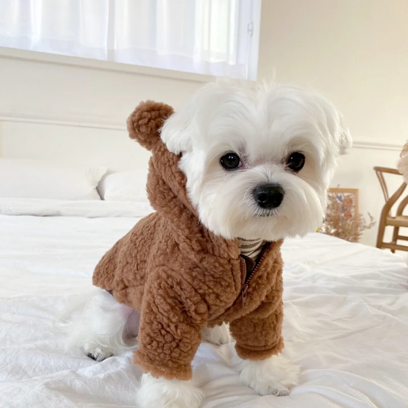 Ropa cálida con capucha para perro, ropa transformada de oso, abrigo de felpa con botones, camisa, chaquetas para perro, lindo cachorro, Invierno - imagen 5