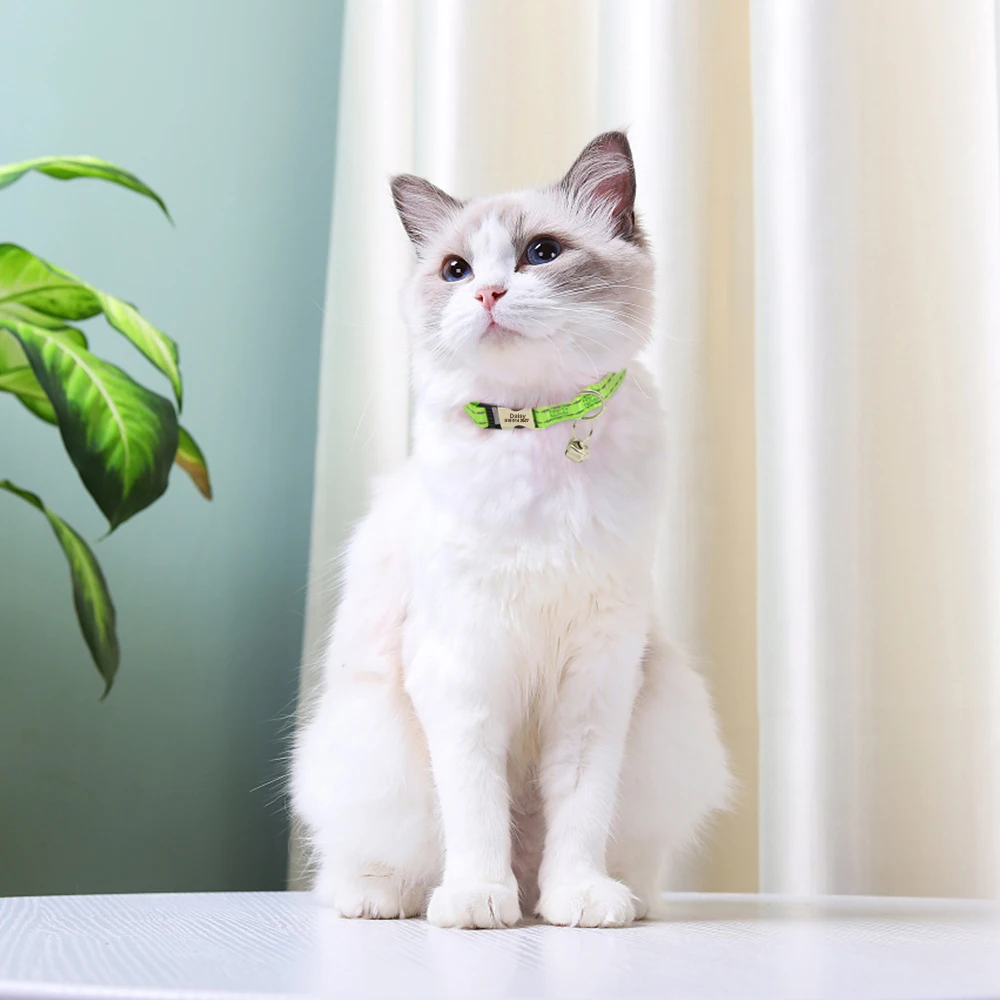 Collar de gato personalizado, collares reflectantes de nailon para cachorros y gatos, Collar ajustable para perros pequeños y gatitos con campana personalizado para gatos - imagen 5