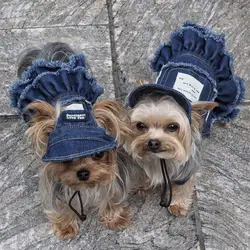 Ropa de verano para perros: vaqueros con sombrero, vestidos y disfraces