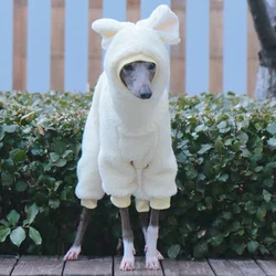 Sudadera de lana con capucha para Whippet – Cálida y cuello alto
