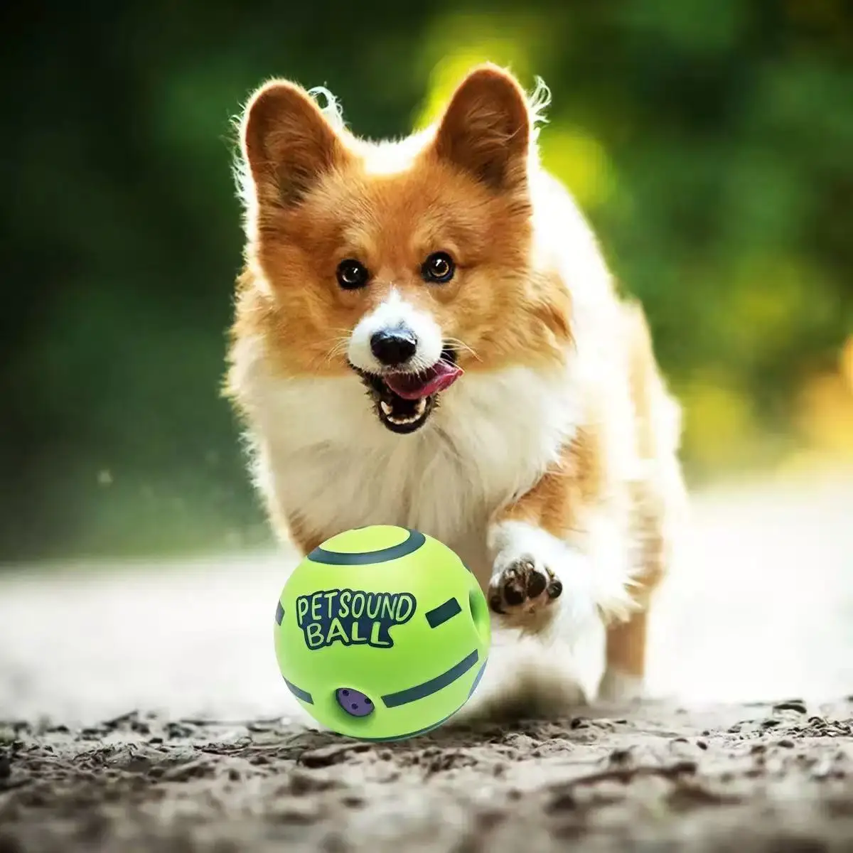 Pelota interactiva para perros – Estimulación mental y entrenamiento - imagen 4