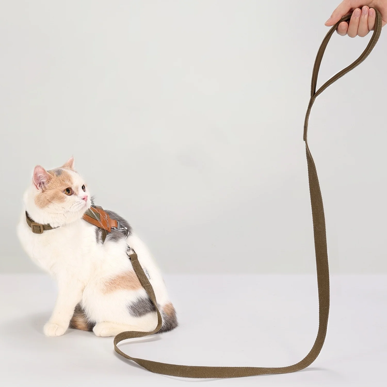 Arnés en forma de H para mascotas, arnés de cuero suave para gatos con juego de correa, arnés ligero para mascotas, arnés ajustable a prueba de Escape para gatos - imagen 5