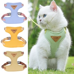 Arnés y correa acolchados para gato – Ajustables y cómodos para passeos