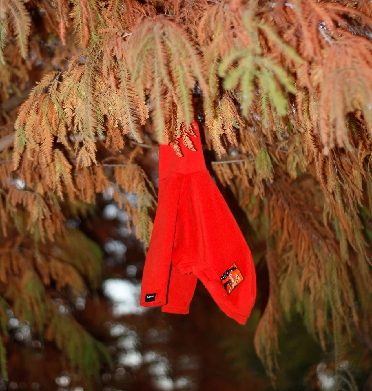Camiseta roja de primavera y otoño para galgo italiano, abrigo suave de moda navideña de 2 patas para ropa de perro Whipbit, ropa de descanso de cuello alto - imagen 5