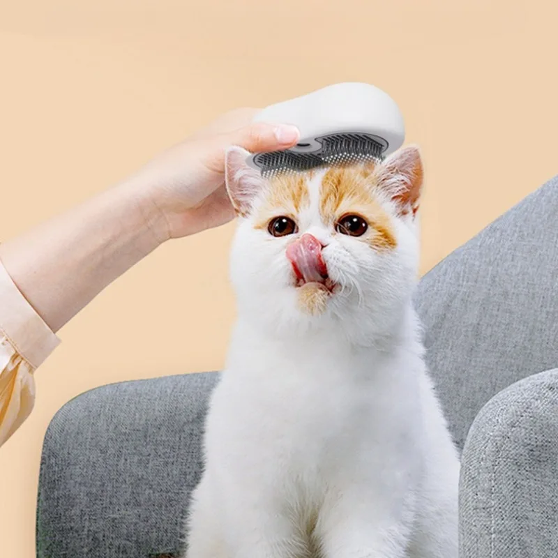 Peine de pelo en aerosol para perros y gatos, cepillo para perros y gatos, accesorios para gatos, peines de vapor antivuelo, equipo de aseo para mascotas, suministros de cuidado - imagen 2