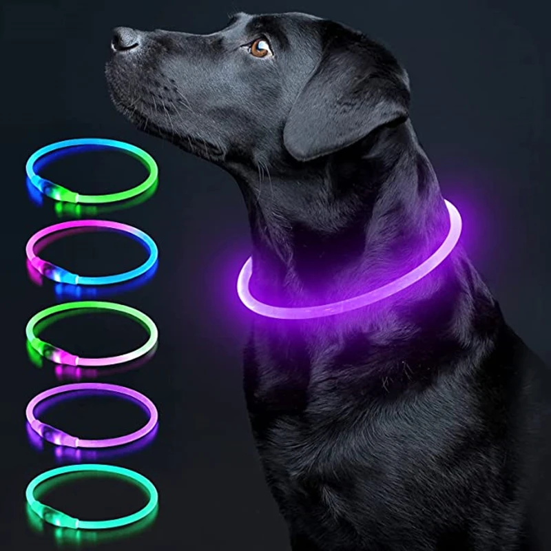 Collar luminoso Led para perro, Collar con carga USB, intermitente, bricolaje, seguridad brillante, Antipérdida, Collar para perros y gatos, suministros de accesorios