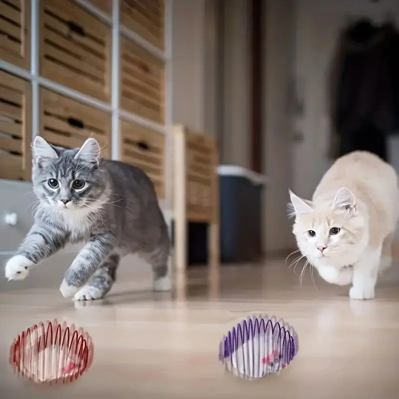 Pelotas de juguete para gatos, divertidos juguetes elásticos con resortes para gatitos, ratas enjauladas interactivas, bolas rodantes para gatos, accesorios para gatos de Color aleatorio para mascotas - imagen 4