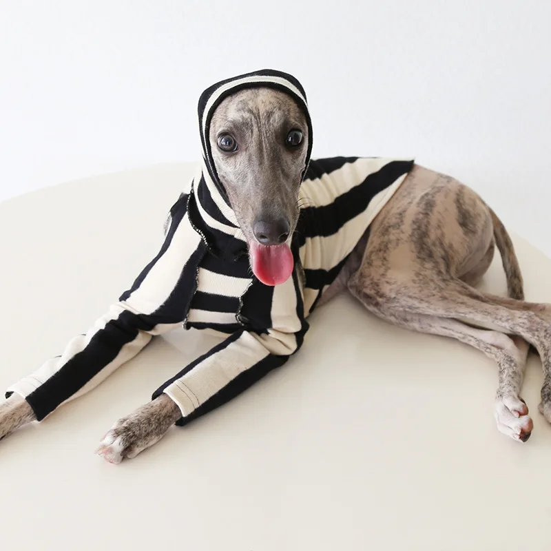 Ropa de otoño de estilo japonés para galgo italiano, suéter de lana suave de manga larga y cálida para ropa Whippet, ropa de descanso a rayas