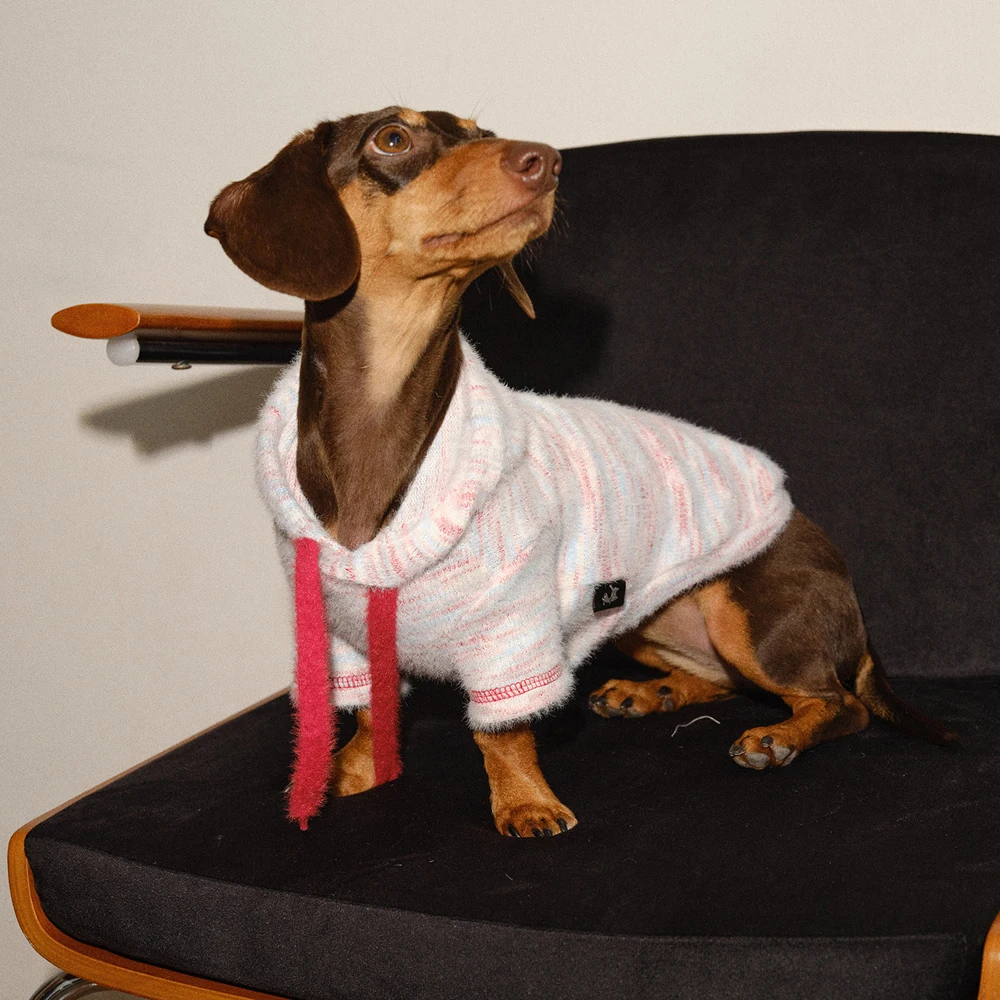 Sudadera polar coral para perros pequeños – Abrigo cálido de invierno - imagen 2