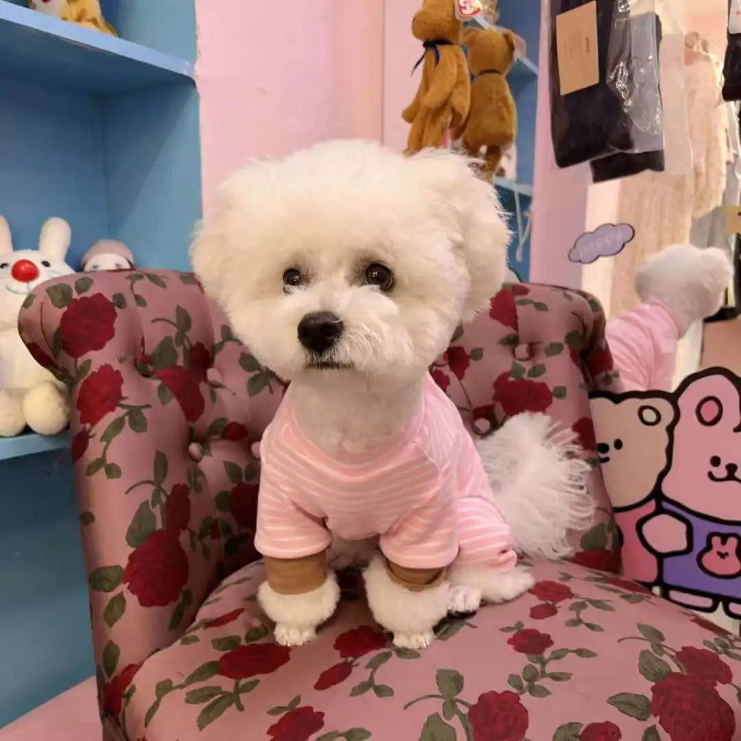 Pet All Inclusive Belly Bottom Shirt Autumn and Winter Striped Versatile Candy Color Warm Four Legged Dog Jumpsuit Puppy Clothes - imagen 3