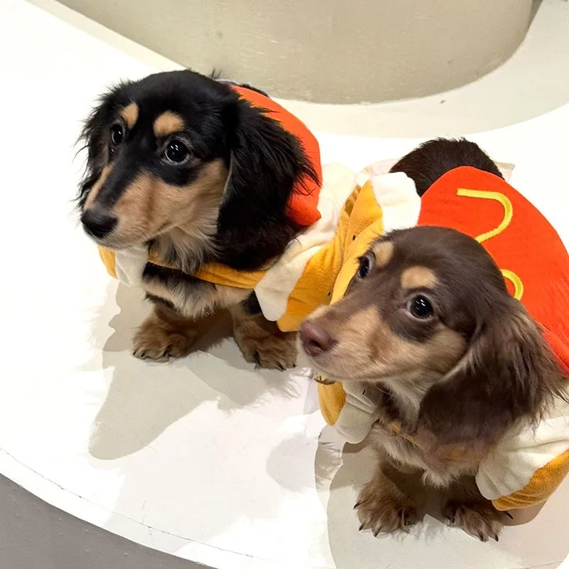 Divertidos disfraces de Halloween para perros grandes y pequeños, ropa ajustable con forma de perro caliente para gatos, disfraz de fiesta para mascotas, suministros para Bulldog - imagen 5