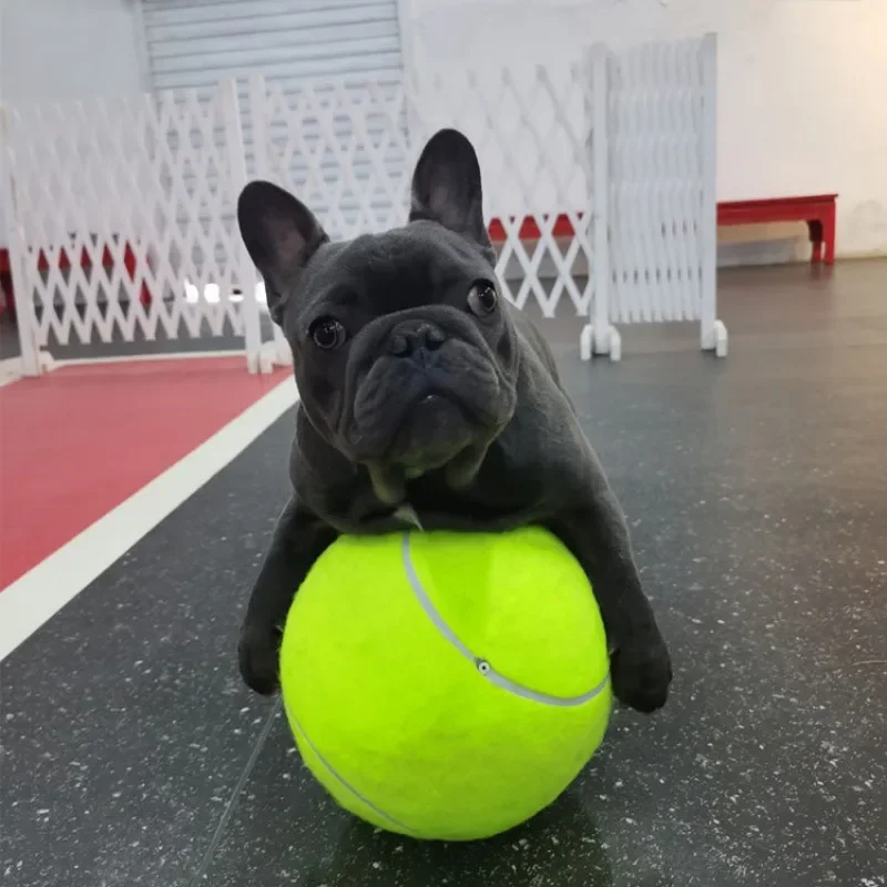 Juguete para mascotas, pelota de tenis inflable, entrenamiento de goma, fuerza elástica, juguete para perros, M-XL, suministros de productos, pelota resistente a mordeduras supermuñecidas - imagen 3