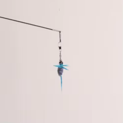 2 repuestos para varitas de juguete para gatos con cabeza insecto