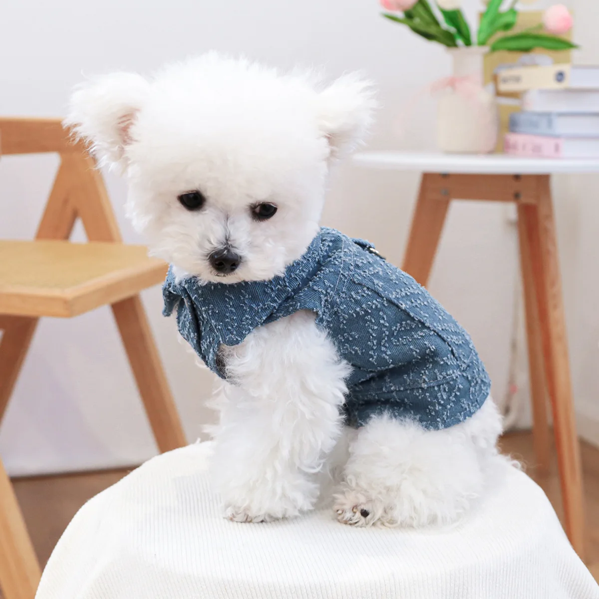 Chaleco vaquero para mascotas, ropa para gatos, abrigo de vaquero, ropa para cachorros, chaleco para disfraz de perro, primavera y otoño - imagen 2