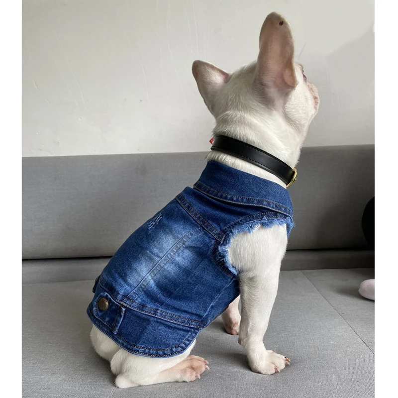 Ropa para perros y gatos, chaqueta vaquera para perros pequeños y medianos, Beagle Yorkie Chihuahua, abrigo vaquero lavado oscuro, ropa para mascotas para primavera y otoño - imagen 5