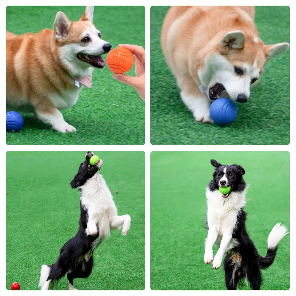 Pelota de goma resistente a mordidas para perros – lanzar y entrenar - imagen 4