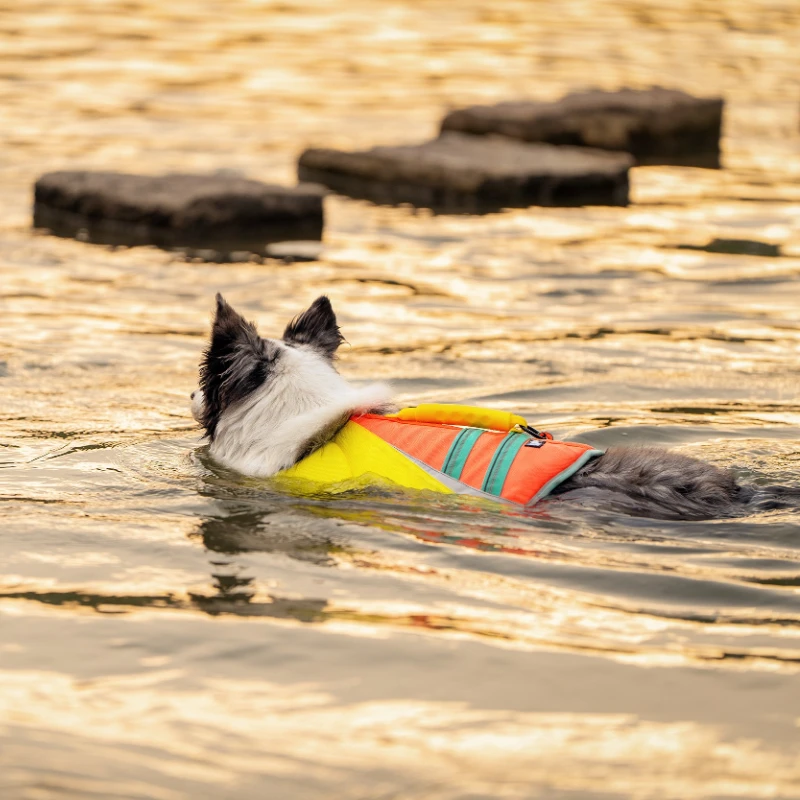 Chaleco salvavidas reflectante para perros – Cómodo y seguro - imagen 5
