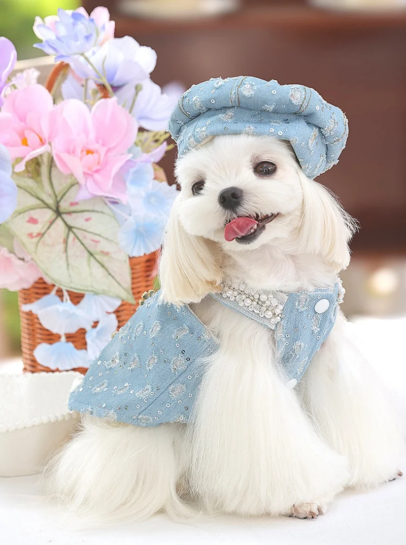 Chaleco y tirantes con forro polar vaquero para perros pequeños como Bichon Frises Poodles chaleco para perros con sombrero ropa para perros