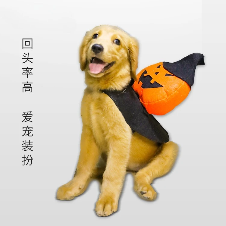 Nuevos suministros de Halloween para mascotas, disfraces de calabaza para vacaciones, disfraces divertidos, productos para mascotas, productos de decoración para perros y gatos - imagen 2