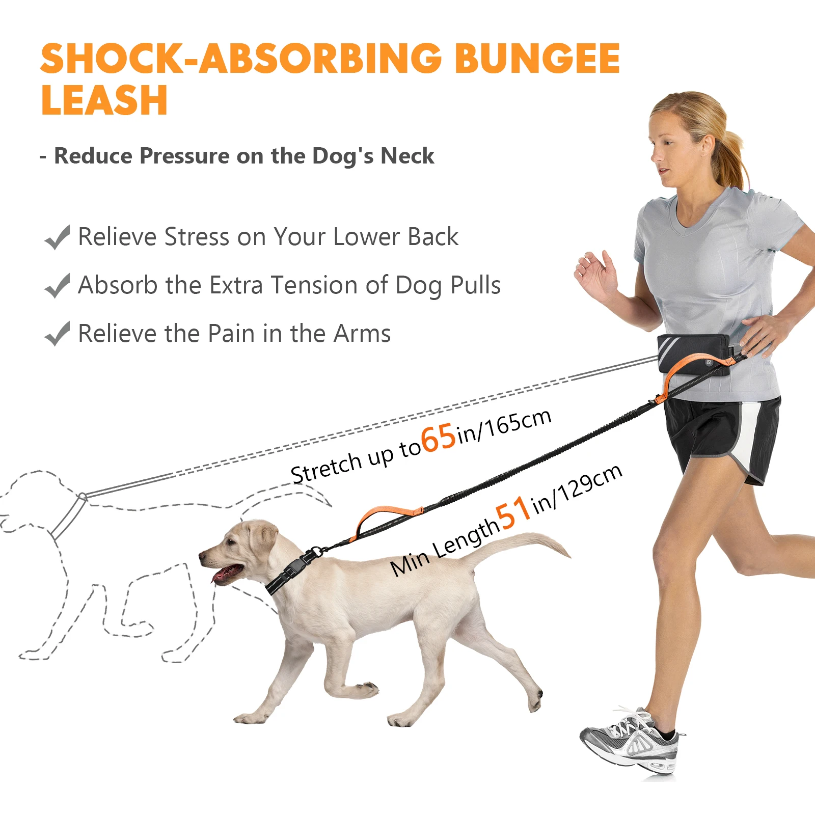 Correa para perro manos libres con bolsa con cremallera, asas dobles acolchadas y cuerda elástica duradera para caminar, trotar y correr a su perro - imagen 4