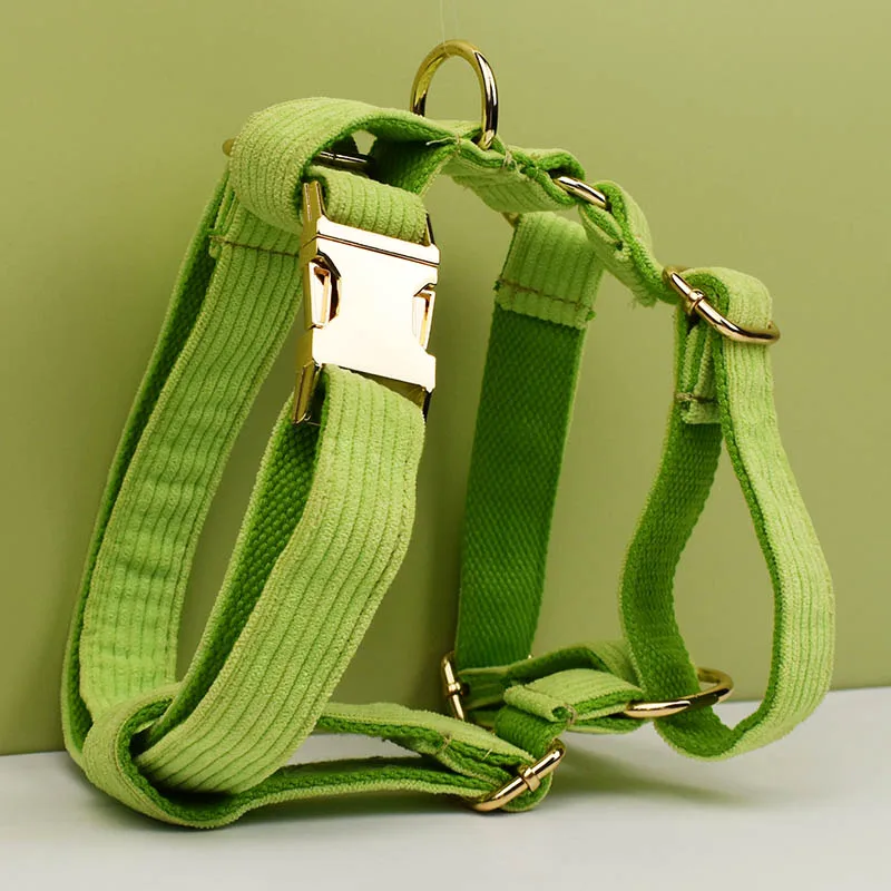 Juego de Collar y correa de pana verde con fruta de manzana para perros, placa de identificación grabada personalizada, suministros para mascotas, correa de pana 05 - imagen 2