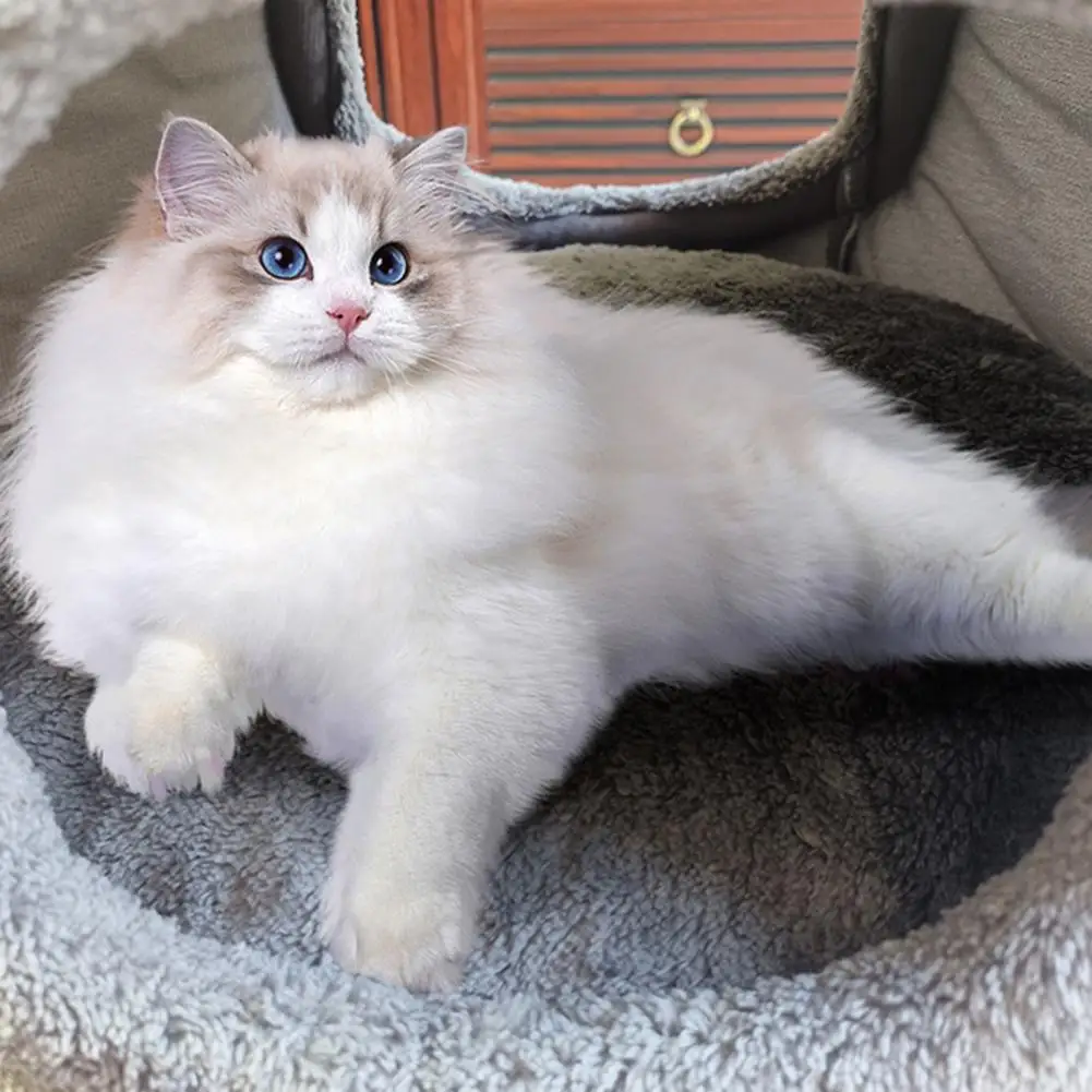 Cama bonita de cueva para gatos, cómoda cama para mascotas con orejas de oso, fondo antideslizante, nido para gatos de invierno con cojín extraíble para cachorros y gatos de interior - imagen 3