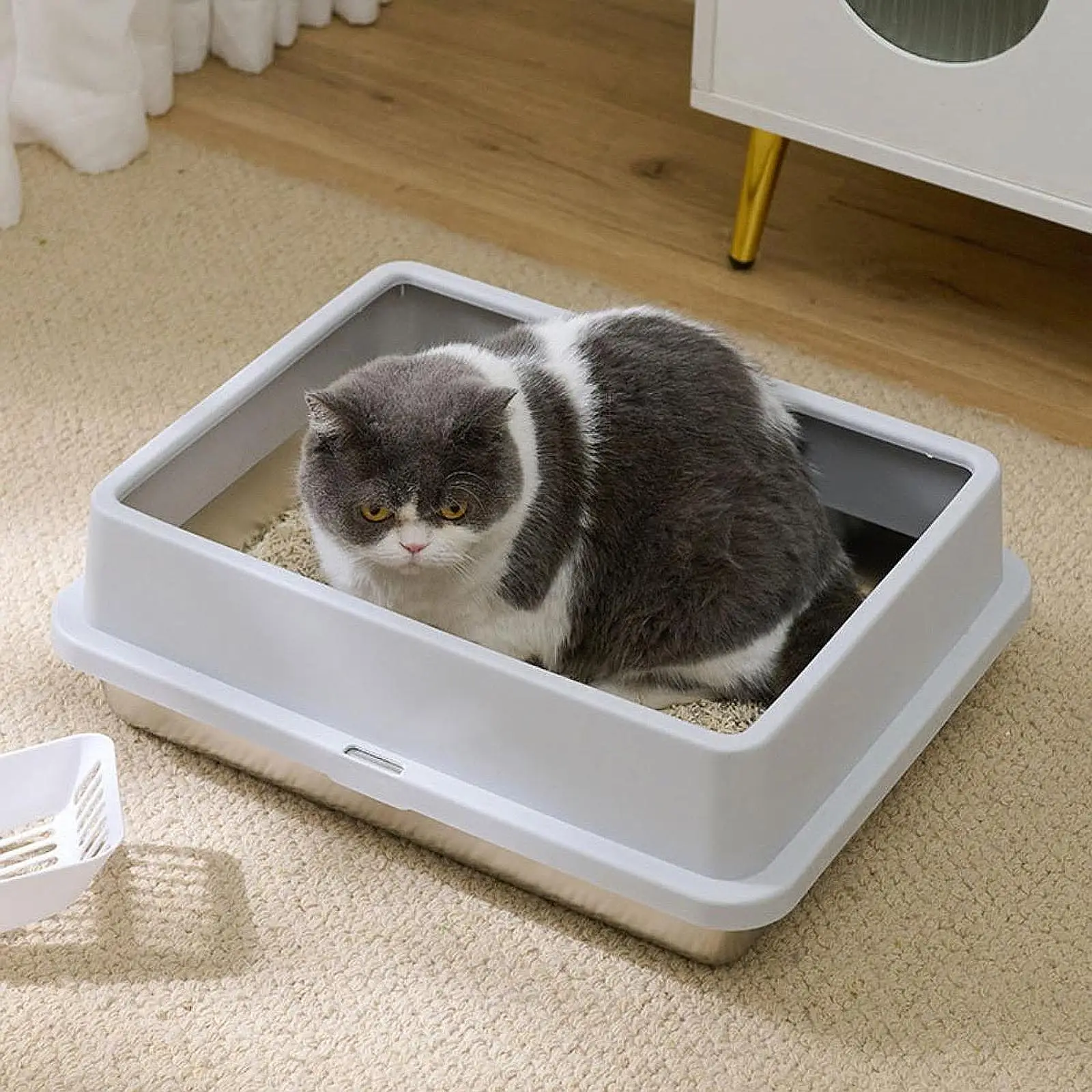 Cat Litter Box Pet Bedpan Cat Sand Box Container Open Top Cat Litter Tray for Indoor Cats