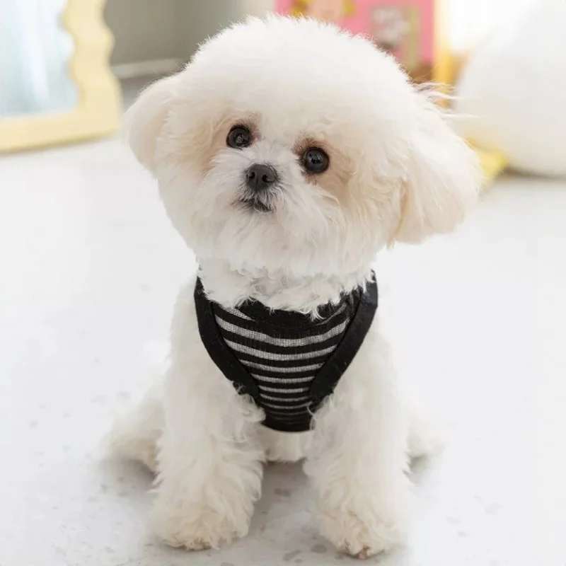 Chaleco de malla verano para perro transpirable y cómodo confort total - imagen 4