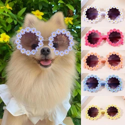 Gafas de sol para gatos y perros pequeños - accesorios para fotos