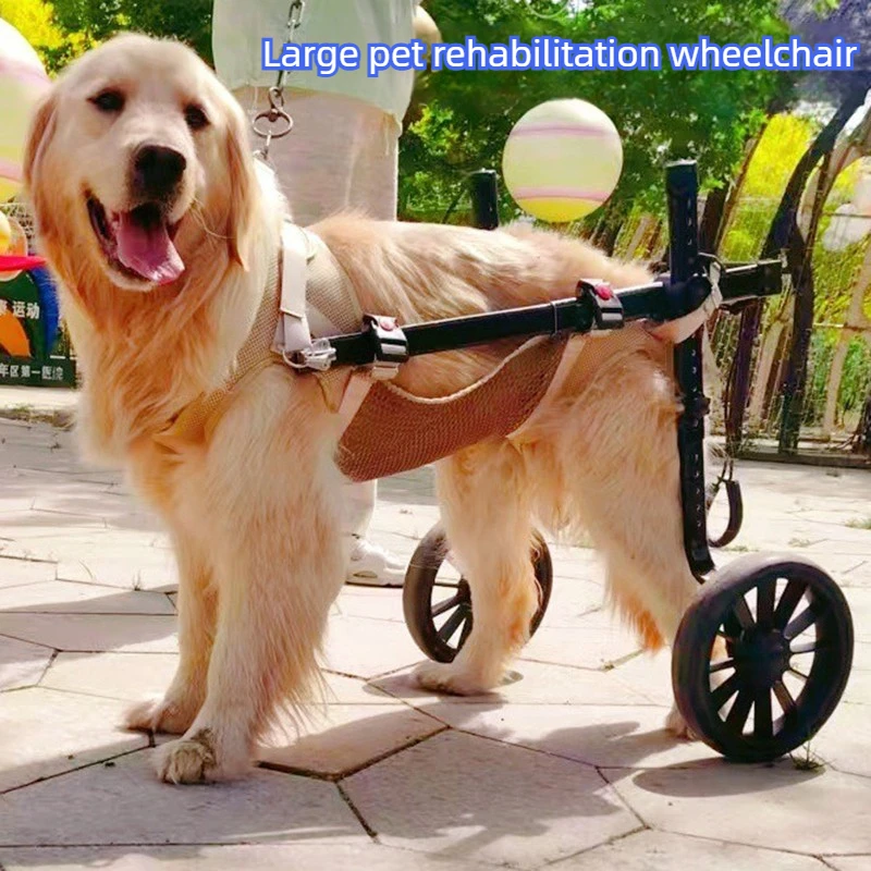 Silla de ruedas para perros patas traseras ajustable grandes y mayores