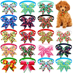 Pajarita ligera para perro – Accesorio verano