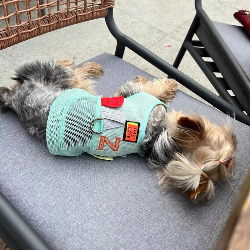 Arnés de malla de lujo para mascotas, chaleco refrescante para perros de verano para Schnauzer, Teddy de Pomerania, arnés ajustable transpirable para viajes de mascotas y paseo - imagen 4