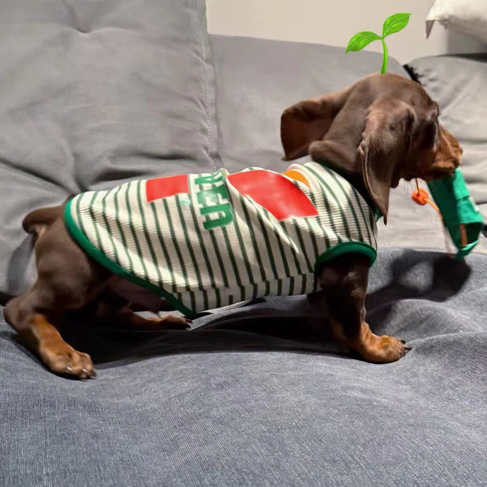 Ropa de moda para perros Dachshund con gorro – primavera/verano - imagen 5