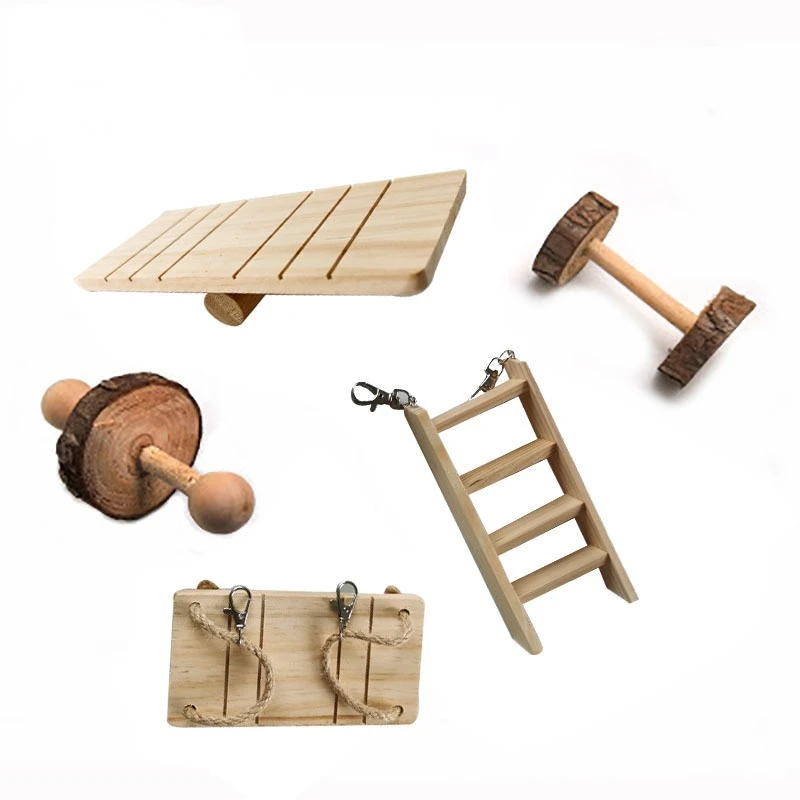 Juguete de conejillo de indias para hámster, accesorios de madera para entrenamiento, limpieza de dientes molares - imagen 4