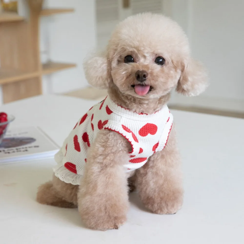 Vestido de perro sin mangas con estampado de amor para mascotas, ropa bonita para el hogar, bichones de peluche, ropa para cachorros, vestidos para perros pequeños, Otoño e Invierno - imagen 3