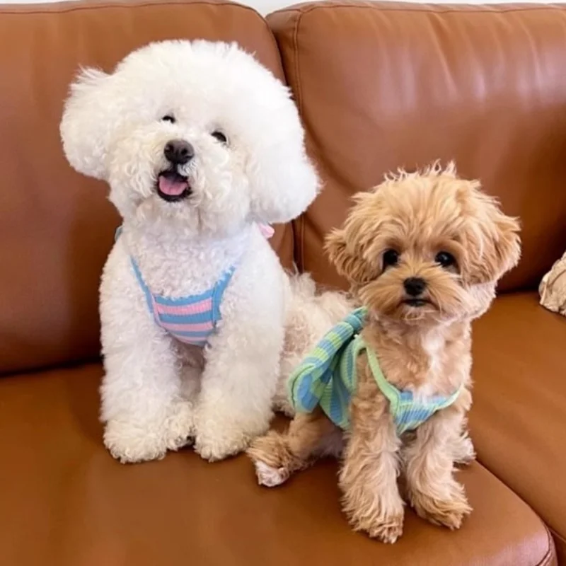 Falda de princesa con lazo para perro, ropa de verano para mascotas, bonito vestido con tirantes para cachorro, vestidos de gato a rayas a la moda, ropa para perros Chihuahua - imagen 3