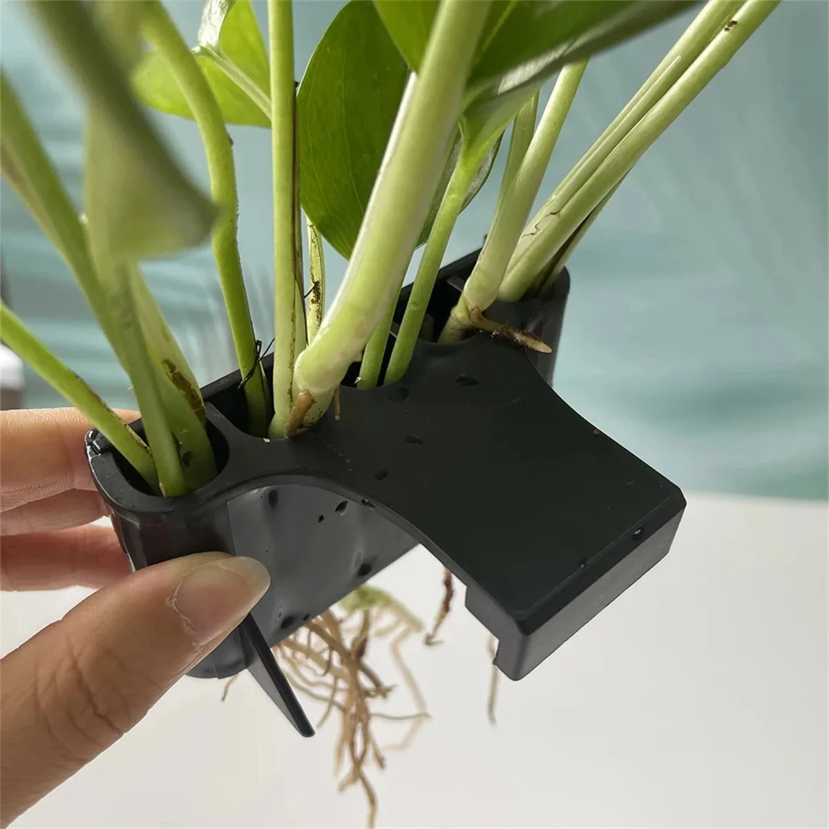 Maceta para acuario con gancho integrado para plantas vivas en pecera - imagen 3