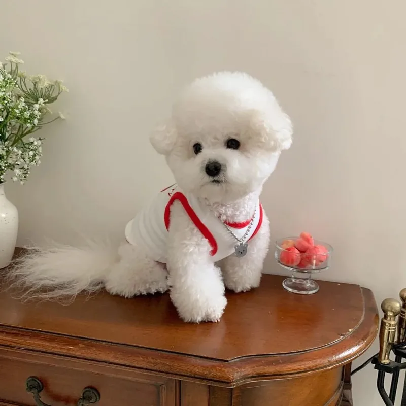 Lindo verano Schnauzer fruta chaleco mascota verano ropa bordada Teddy camiseta sin mangas Jersey transpirable moda ropa para perros - imagen 2