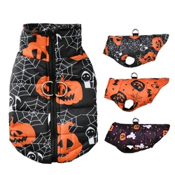 Disfraz Halloween perros pequeñas y medianas – Chaqueta invierno