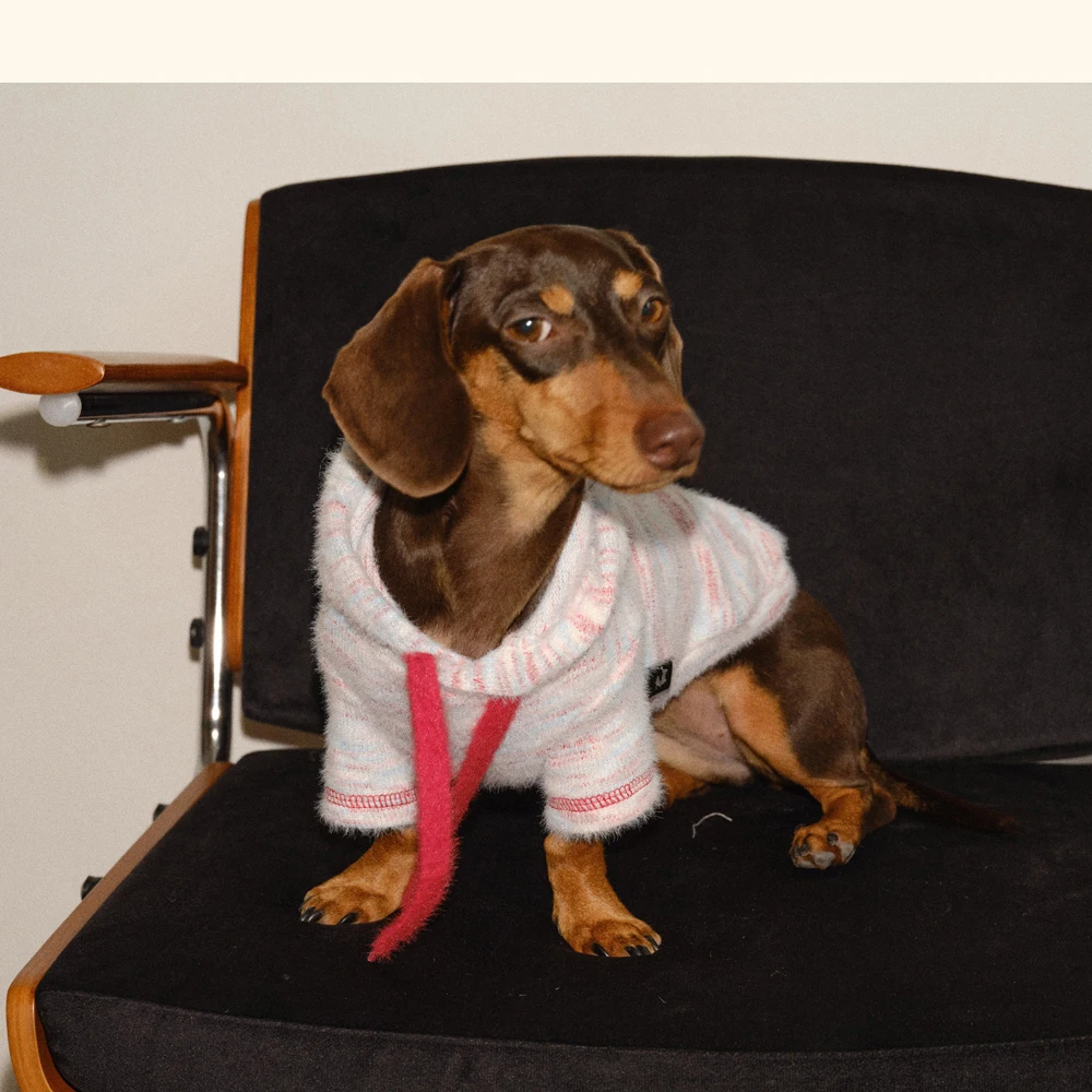 Sudadera polar coral para perros pequeños – Abrigo cálido de invierno